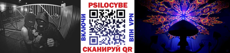 сколько стоит  кракен зеркало  Псилоцибиновые грибы мицелий  Олонец 
